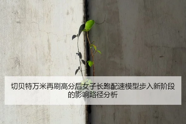 qie-bei-te-wan-mi-zai-shua-gao-fen-hou-nv-zi-chang-pao-pei-su-mo-xing-bu-ru-xin-jie-duan-de-ying-xiang-lu-jing-fen-xi-2-333.jpg