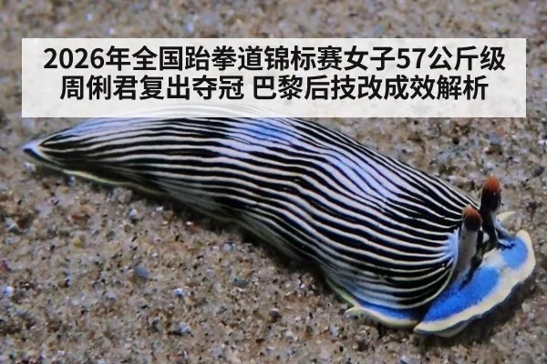 2026年全国跆拳道锦标赛女子57公斤级 周俐君复出夺冠 巴黎后技改成效解析