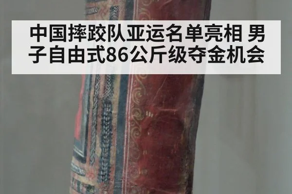 中国摔跤队亚运名单亮相 男子自由式86公斤级夺金机会